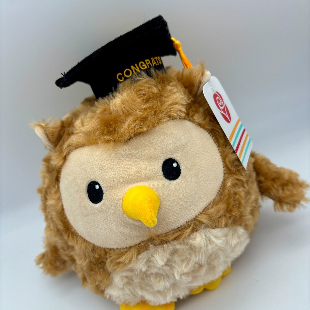 American Greetings 8″ Brown Graduation Plush Owl with 2026 Congrats Grad Cap NWT