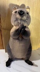 Designed by J. Dream Plush Realistic Looking Wallaby Stuffy Toy 12”