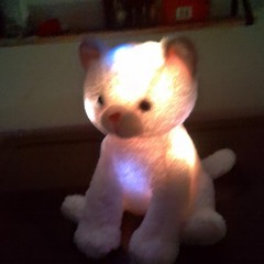 Small Plush Stuffed Animal Cat /White Washable 3-5 Years 6-14 in