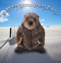 CHUCKWOOD Douglas plush 10.5″ GROUNDHOG stuffed animal woodchuck toy ground hog