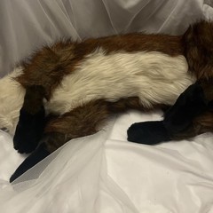 DITZ Designs RED FOX Hugs Hen House 26” Plush Retired Stuffed Animal Rare W/Tag