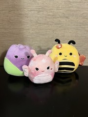 5” Jackie the Purple Tulip, 5” Sunny The Bumble Bee And 5” Eileen Squishmallow.