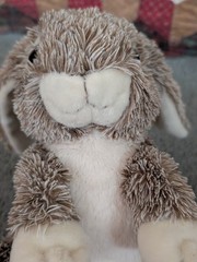 Teddy Mountain~Plush~Super Soft Fur~Forest The Happy Bunny Rabbit