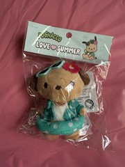 ✅Sanrio Pochaco ×Olive Young Plush Key ring Bag Charm Tanning Edit Korea US Ship