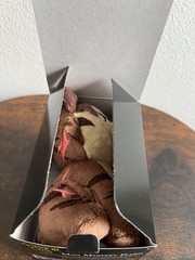 WARRIOR CATS 6″ MINI MYSTERY PLUSH SERIES 2 TIGERSTAR