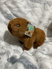Cuddly Capybara 10 Inch Plushie Brown Europe WL International