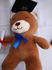 2025 Dollar General. Super Soft Plush Graduation Bear With Diploma. 12 Inch.