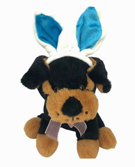 Dan Dee Rottweiler Dog Plush 7 Inch Black Brown Bunny Ears Stuffed Animal 2017