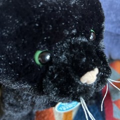 Build A Bear Promise Pets Plush Black Cat Green Eyes Retired 11”