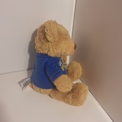 Gund Get Well Teddy Bear Plush Stuffed Animal 10″ Very Soft Snuggly Gift 6050393