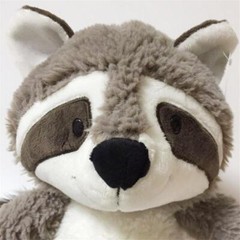 25cm Gray Raccoon Plush Toy Lovely Raccoon Cute Soft Stuffed Animals Doll Pillow