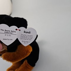 TY Beanie Bellie Randi – Black and Tan Rottweiler Dog – 6″