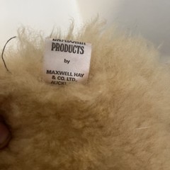 Maxwell Hay New Zealand Plush Realistic Koala Bear Virgin Wool 12″