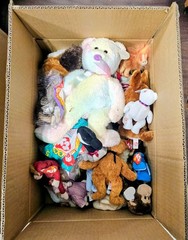 Ty Beanie Babies Mixed Lot Bear Plush, Medium 14-24in Vintage 1998 Multicolor