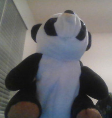 cute toys for kids under 5 years or above black panda express