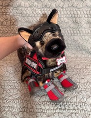 New Chief German Shepherd Plush Collectible Douglas Cuddle Essa Dog + Gear HTF!