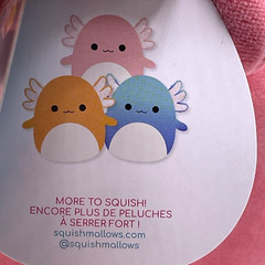 Squishmallow 8″ Archie, Nico & Miss Vi Axolotl Bundle Plush Holiday Toy Gift SET