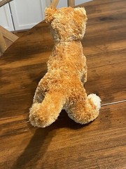 Douglas Cuddle Toys Plush Cat 9” Alma Ginger 2009 “Floppy Kohairs Collection”