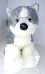 Douglas Husky Dog Plush Sasha Light Gray #1803 EUC 2015