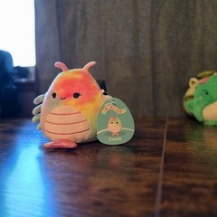 Candis the Shrimp (S5 # 2072) NWT 5 Inch