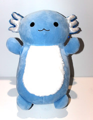 Squishmallows HugMees Axolotl 14″Blue Fuzzy Tummy Miss Vi stuffed plush USED