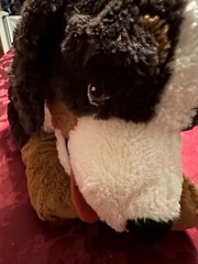 Jumbo Plush/Stuffed Realistic Burnese Mountain Dog Sewn Eyes 25″