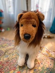 Douglas Whispy Sheltie #1997 Plush 16″ Retired 2018 – EUC RARE Shetland Sheepdog