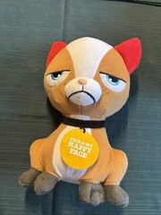 “This is My Happy Face” Angry Face Cat Plush Toy