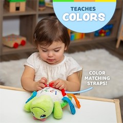 Buckle Toys – Belle Turtle – Learning Activity – Develop Motor Skills and Pro…