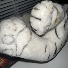 #Z19- Great American white tiger plush toy, soft stuffed animal, made in China