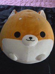 NWT Takashoji Shiba Inu 13” Round 1 Pillow Plush