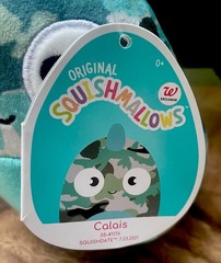 Squishmallow Calais The Chameleon Camo Lizard Reptile Soft Plush Stuffed Toy NWT