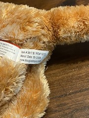Douglas Cuddle Toys Plush Cat 9” Alma Ginger 2009 “Floppy Kohairs Collection”