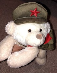 Plush hong kong bear stuffed toy hat star Canvas Messenger Bag red scarf rare