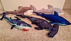 Shark Week Plush Toy Lot Hear The Attack Sounds Great White Hammerhead 2018