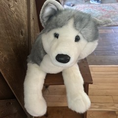 Douglas Cuddle Toys 30″ Barker Husky 2014 Large Life Size Plush #1873