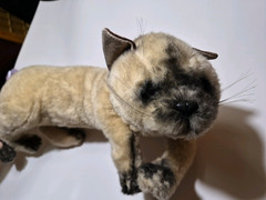 Siamese Style Cat Small (6-14 in) Plush Stuffed Animal Beige Brown Black 4-7