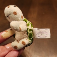 2009 Whimzy Pets Sunshine Turtle Mini Plush