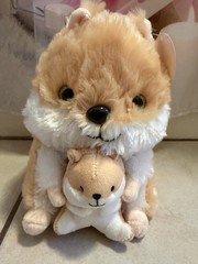 Nanco Belly Buddy Buddies Golden Brown Hamster Stuffed Animal Plush Toy