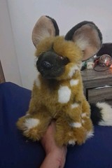 Born In Africa Wild Dog Plush Brown Tan Orange Eyes Stuffed Animal Toy