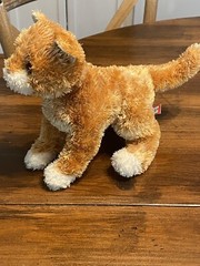 Douglas Cuddle Toys Plush Cat 9” Alma Ginger 2009 “Floppy Kohairs Collection”