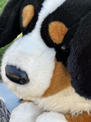 Douglas The Cuddle Toy Bernese Mountain Dog Plush 24″ Black White Brown Wash