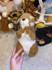 Random Lot Of Stuffed Animals. 13 Medium To Small.