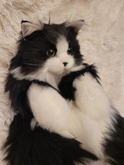 Chongker Realistic Black White Fluffy Cat Plush Stuffed Animal Yellow Eyes Bag
