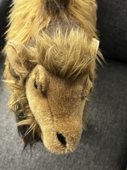 2015 Hansa Handcrafted Bactrian Two Hump Camel 19” x 19” Realistic Plush Toy